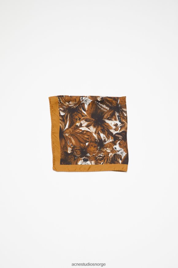 Acne Studios silkeskjerf med trykk N2PP4F632 tilbehør brun